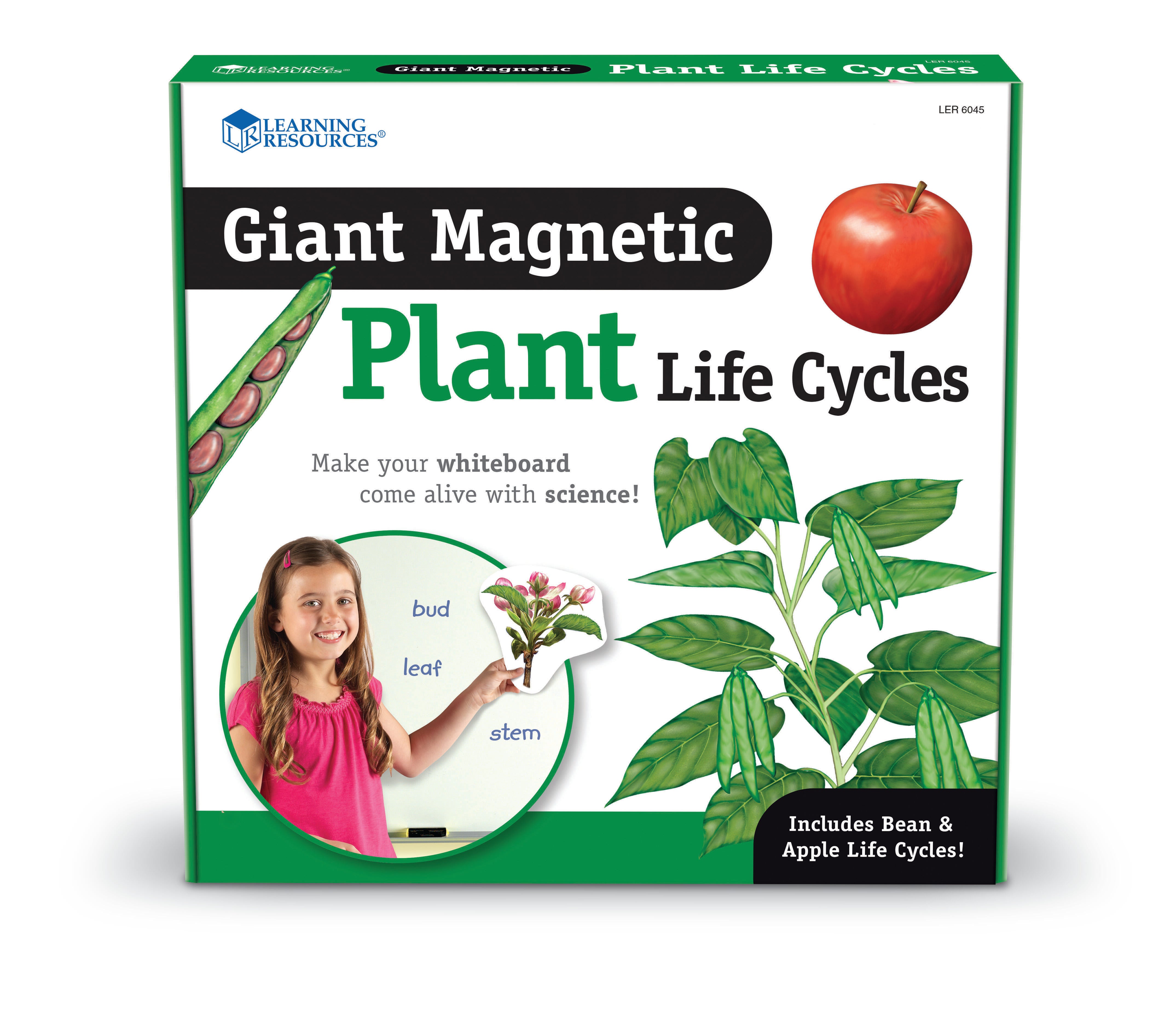 Learning Resources Giant Magnetic Plant Lifecycle 1426105